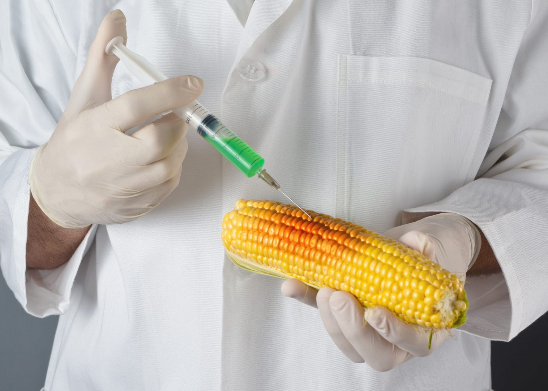  DIAGRAM Diagram Of Gmo FULL Version HD Quality Of Gmo MYDIAGRAM ONLINE