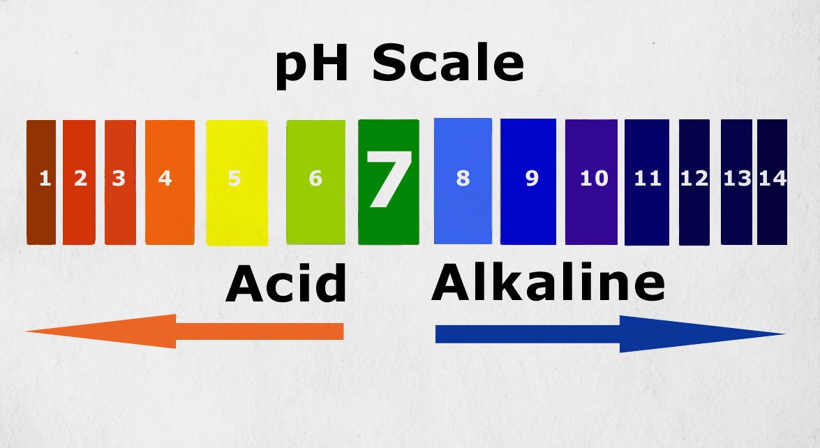 What is the normal pH balance in the human body?