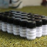 homeoprophylaxis