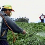 herbicide-spraying