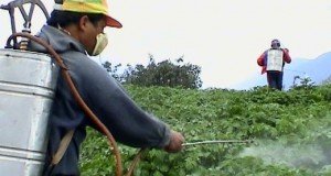 herbicide-spraying