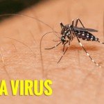 zika-virus