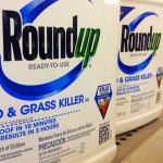 Roundup-weed-killer