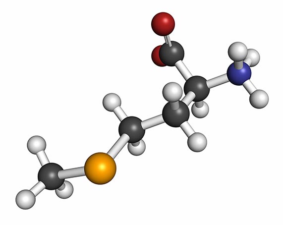 N-Acetyl-Cysteine (NAC)