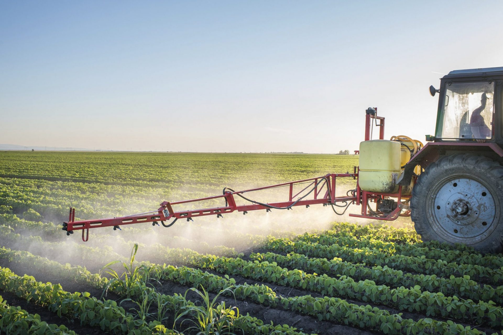 insecticides and pesticides need oil insecticides and pesticides need oil