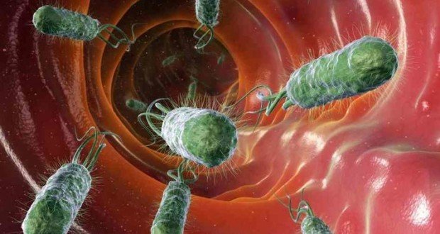 Immune system alert How to avoid bad bacteria Immune system alert How to avoid bad bacteria