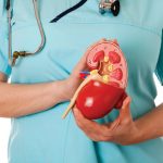 Low vitamin D levels linked to poor liver and kidney function