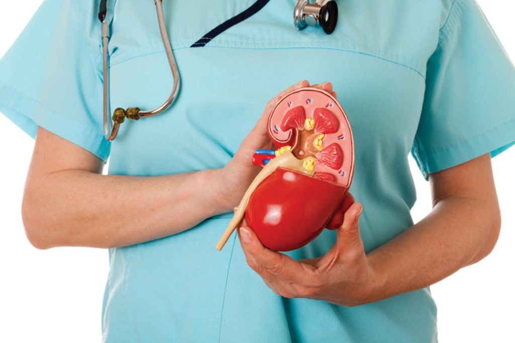 Liver and Kidney Function Linked to Vitamin D | NaturalHealth365