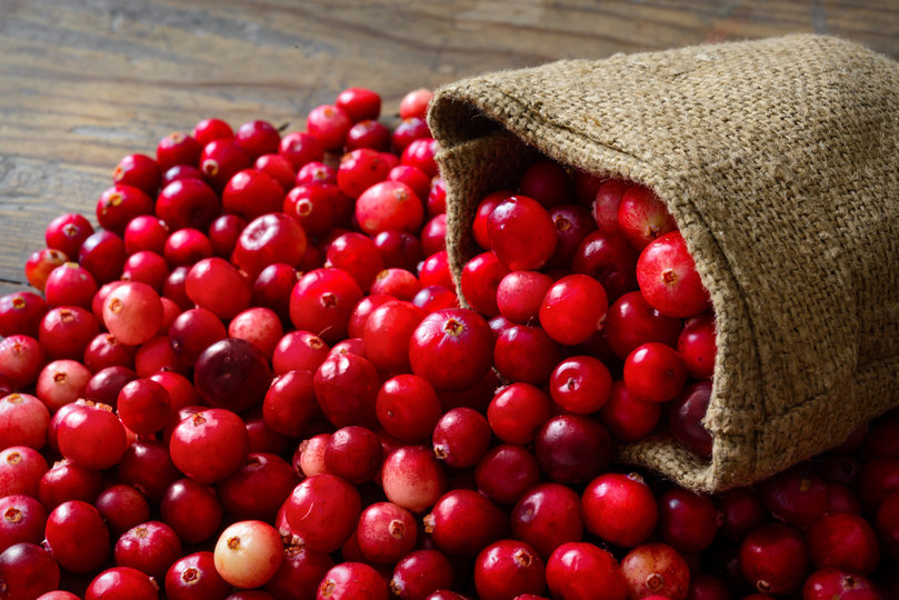 Cranberry seed oil breast cancer pic 757