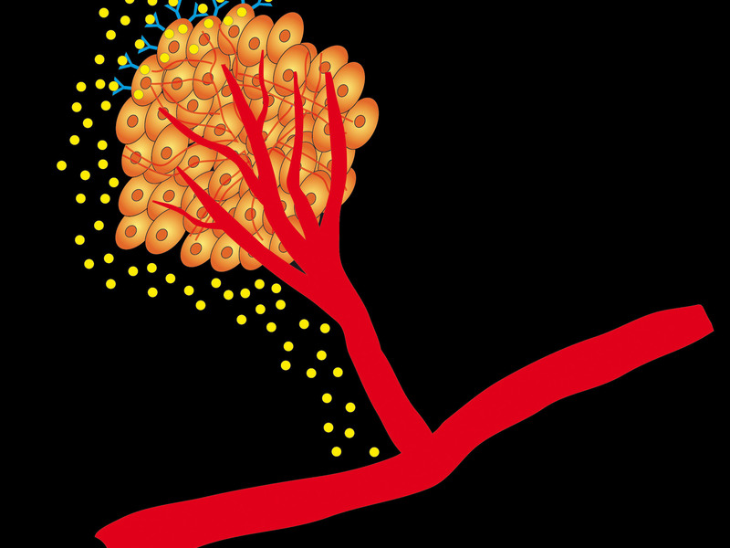 Circulation in the