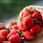 strawberries-stop-cancer-cell-growth