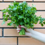 parsley-contains-cancer-fighting-compounds