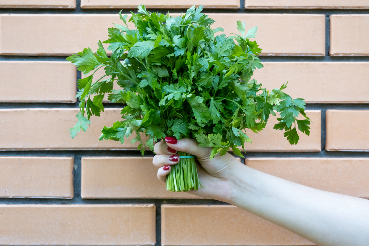 Parsley Contains CancerFighting Compounds NaturalHealth365