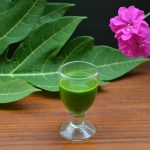 papaya-leaf-juice