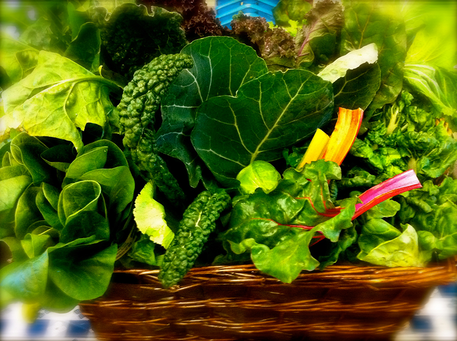 Leafy Veggies Monitors Brain Centers And Manages Them
