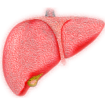 Fatty liver causes kidney failure with no warning signs