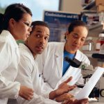 quercetin-research