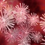 viruses