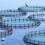 fish-farms