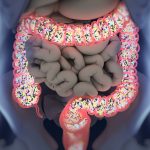 beneficial-gut-bacteria