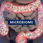 gut-microbiome