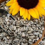 sunflower-seeds-heart-health