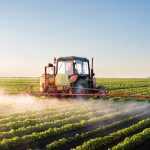 pesticides-damage-soil-organisms