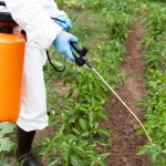 glyphosate-link