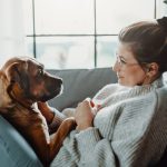 pet-ownership-brain-health