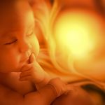 increase-in-fetal-deaths