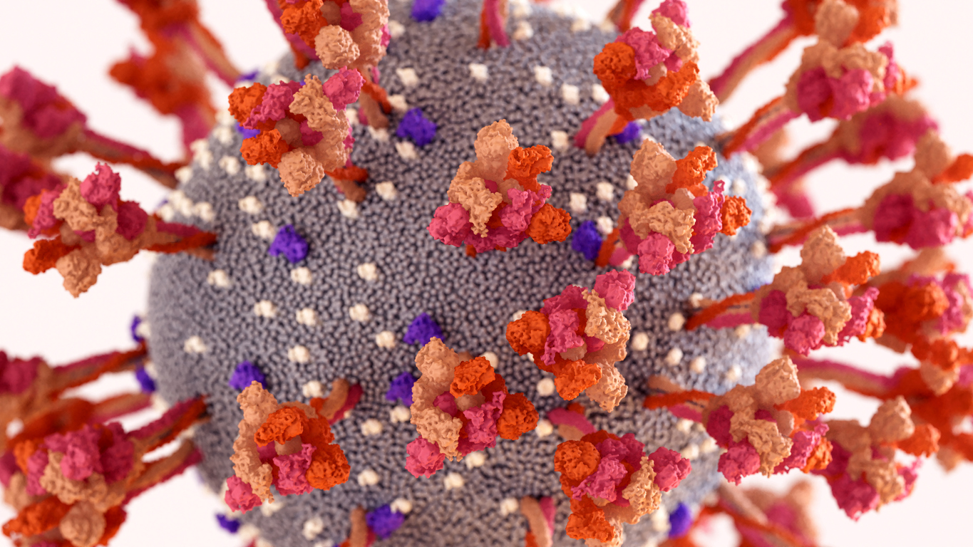 Pathologist Reveals What COVID Jabs Do In The Body NaturalHealth365 pathologist-reveals-what-covid-jabs-do-in-the-body-naturalhealth365
