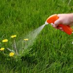 weedkiller-causes-parkinsons-disease