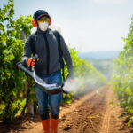 pesticides-found-on-most-foods