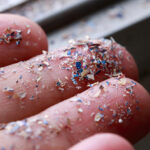 microplastics-found-in-human-heart