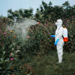 weedkiller-linked-to-cancer