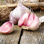 aged-garlic-extract-combats-heart-disease