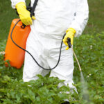 glyphosate-linked-to-surge-in-leukemia-cases