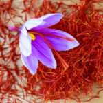 saffron-destroys-cancer-cells