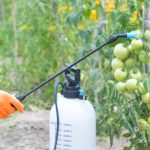 pesticide-exposure