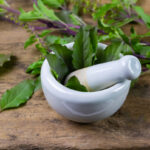 holy-basil