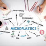 microlastics-linked-to-heart-risk