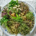 broccoli-sprouts