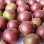 fatty-liver-disease-natural-solution