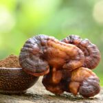 reishi-mushroom