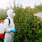 glyphosate-fuels-global-fatty-liver-epidemic