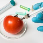 gene-edited-tomatoes