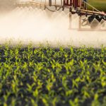 epa-to-reapprove-cancer-causing-herbicide