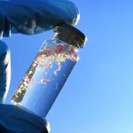 microplastics-found