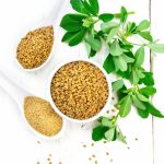 The bitter seed cooks try to mask that may be doing the real metabolic work