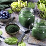 edible-algae